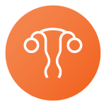 Fertility & Conception